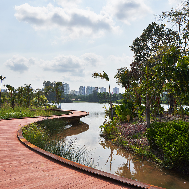 湖畔花园：新加坡西部的自然生态栖息地