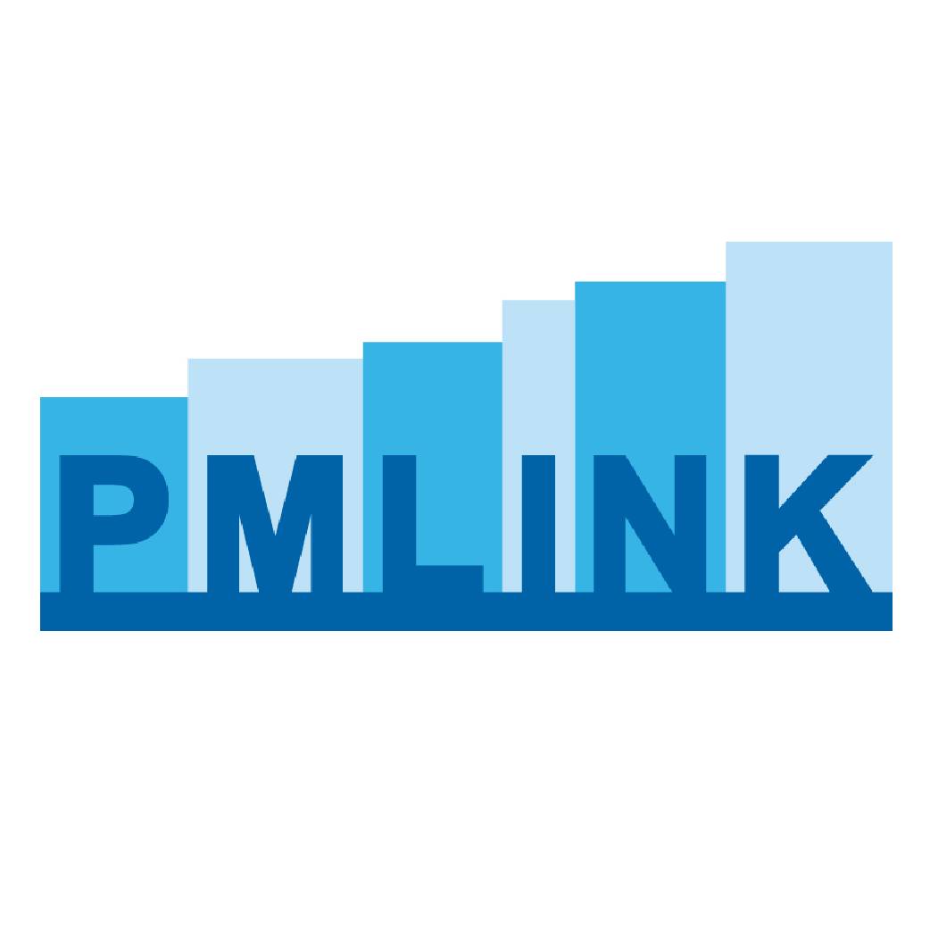 PM Link Marks 20-Year Business Milestone with New Corporate Logo