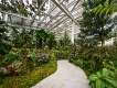 Tan Hoon Siang Mist House, National  Orchid Garden