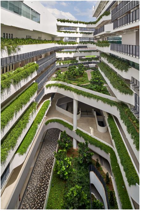 Multiple floors interwoven with greenery offer easy accessibility 